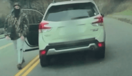 特斯拉车主遭遇路怒指责,称其驾驶“纳粹汽车”