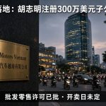 特斯拉越南公司胡志明市